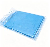 Alas Kasur Medis Sekali Pakai Tahan Air Tedia Medical, Berlapis Kain Non Woven untuk Pemeriksaan di Rumah Sakit
