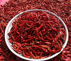 Chiles Secos Vietnamitas de Primera Calidad, Producto Agrícola Natural Picante y Sabroso - Product Image 1