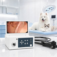Système d'endoscopie électronique vétérinaire JLE-V1000, appareil de diagnostic médical portable, construction en métal et plastique, garantie 1 an