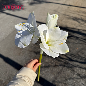 ดอกคลีเวียมินิอาตาปลอมสีขาวคุณภาพสูง DC148 พิมพ์แบบ 3 มิติ สำหรับตกแต่งบ้าน โรงแรม โต๊ะต้อนรับ - Product Image 4