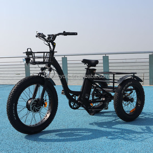 Bicicleta eléctrica de 3 ruedas, triciclo de neumáticos anchos, 24x4,0 - Product Image 3