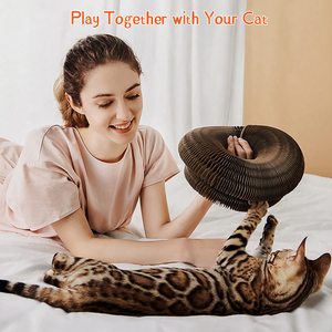 Planche à gratter pour chat en <span class=keywords><strong>papier</strong></span> écologique et durable, pliable, avec balle, pour toutes les occasions - Product Image 2