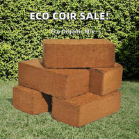 Kopeat Export Briquettes de tourbe de coco compressées 100% biologiques, écologiques, pour grandes serres agricoles