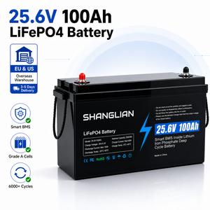<b>24V</b> 100Ah Deep Cycle LiFePO4 <b>Battery</b> 2560Wh 100A BMS 6000 Cycles Rechargeable for Solar Panel RV Camping - Product Image 1