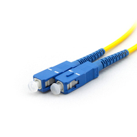 Boîtier de terminaison mural intérieur pour répartiteur optique à fibre optique FTTH SC UPC 1x2 Pigtail 4 voies 1310nm Dong Fang Zhi Guang FOS1-2PSC1