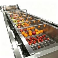 Automatische commerciële roestvrijstalen voedselverwerkingsapparatuur voor het bubbelenwassen van verse fruit en groenten