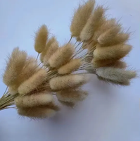 Fleurs séchées naturelles de haute qualité, herbe à queue de lapin pour la décoration de la maison