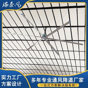 6.1 1000W - Product Image 4