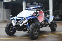 Buggy Renli EEC5+ 1100cc Homologué Route Go-Kart Buggy de Plage 4x4 à Vendre