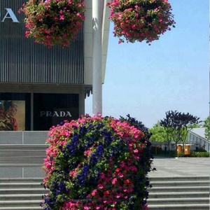 Maceta Decorativa con Forma de Bola para Jardín, Diseño Nuevo en Oferta, Maceta Colgante con Forma de Bola - Product Image 2