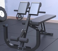 Support d'haltères pour entraînement, Équipement de fitness à domicile, Chaise romaine, Banc de musculation, Chaise d'entraînement