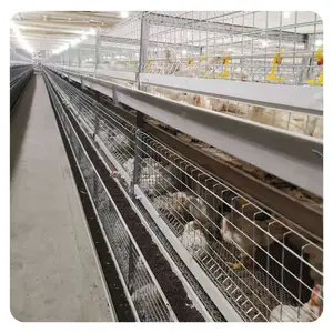 Gia cầm nông nghiệp dự án 3 tầng h loại thịt gà thịt pin lồng gà với 108 chim lớp lồng để bán Philippines