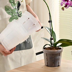 <span class=keywords><strong>Pot</strong></span> de fleurs <span class=keywords><strong>transparent</strong></span> P408 <span class=keywords><strong>pour</strong></span> orchidées Phalaenopsis (grande, moyenne, petite) avec contrôle de la racine, drainage visible et respirant - Product Image 2