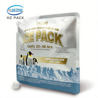 Sac isotherme Doypack personnalisé en PE avec bec verseur latéral pour la cryothérapie, sacs de gel réutilisables pour congélateur