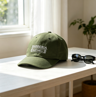 Gorra de Béisbol Personalizada al por Mayor, Transpirable, de 6 Paneles con Logotipo Bordado en la Parte Delantera, Ajustable, para Moda Urbana, Unisex, Estilo Dad Hat