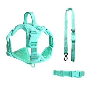 Correa de nailon tipo chaleco para perros, popular, al por mayor, novedad transfronteriza, para entrenamiento divertido y paseo de perros - Product Image 5