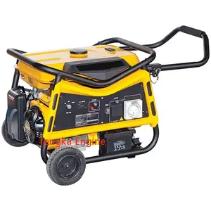 Gasoline Petrol LPG Natural Gas Engine Dual Fuel Gasoline Generator Set