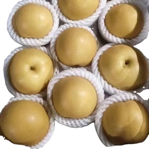 Lê <span class=keywords><strong>Ya</strong></span> ngọt lê vàng tươi lê Trung Quốc Chất lượng cao Lê singo - Product Image 1