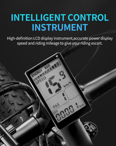 Vélo électrique Ridstar E26 26 pouces 15Ah 1000W 21 vitesses avec batterie au lithium rechargeable pour personnes âgées, batterie Ni-MH E26, vélo électrique E2 - Product Image 2