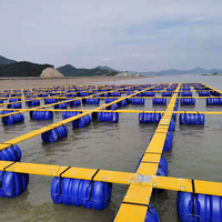 Flotteur en plastique solide Enbuess PE/EPS anti-corrosion pour cages aquacoles et plateformes de quai