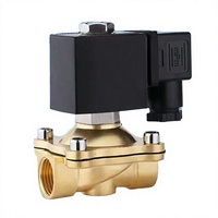Vanne solénoïde électrique à diaphragme proportionnel en laiton avec bobine en cuivre, 1/2 pouce, 12V, 24V, 110V, 220V, pour l'eau