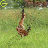 Filet de prévention des oiseaux Filet de brouillard pour oiseaux Maille Empêcher la chasse Filet d'oiseau