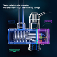 Chauffe-Eau Instantané Type Geyser Électrique, Chauffe-Eau de Douche Électrique Instantané, Pommeau de Douche Électrique