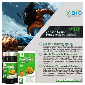 OEM/ODM Service Fenegriek Extract Voedingssupplement Capsules - GMP-gecertificeerd, voedingskwaliteit, 90 capsules/fles, voor volwassenen - Product Image 3