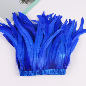 Fabricación <span class=keywords><strong>de</strong></span> disfraces 25-30 cm <span class=keywords><strong>plumas</strong></span> <span class=keywords><strong>de</strong></span> gallo <span class=keywords><strong>de</strong></span> pollo fucsia Trim 10-12 pulgadas pluma <span class=keywords><strong>de</strong></span> cola para la venta - Product Image 1
