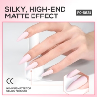Vernis Gel Professionnel UV LED Effet Velours Mat Sans Résidu Longue Durée Sans HEMA/TPO Marque Privée 15ml Vente en Gros