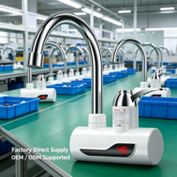 Robinet d'eau électrique à chauffage instantané, étanche IPX4, économe en énergie, en acier inoxydable et plastique, avec affichage numérique LED, pour maison, voiture, hôtel