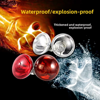 Ampoule chauffante à filament de tungstène rouge pour élevage de porcs, volailles, animaux, poussins, usage agricole et domestique, neuve