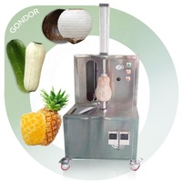 Honingdauw Papaja Snelheid Dunschiller De Beste Pawpaw Ananas Hami Huid Machine Automatische Winter Meloen Schil Voor