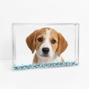 Decorazioni per la casa regali creativi squisiti vendita calda creativi Confetti cornici acriliche album fotografici accessori - Product Image 2