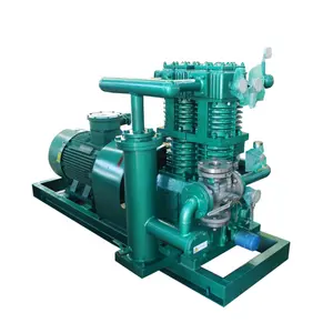 Oil-Free Hydrogen Gas Compressor 5 Stage 5.5hp High Pressure Argon Air Compressor 12V 200PSI for Thermal Recovery