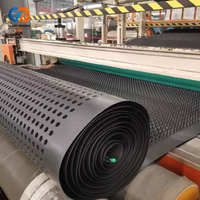 Planche de drainage moderne en plastique HDPE durable, imperméable, à surface texturée pour tunnels, sous-sols, fondations, jardins, barrages