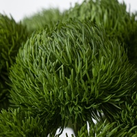 Flores Artificiales de Dianthus Verde al por Mayor con Jarrón de Vidrio para Arreglos Florales en Hoteles y Restaurantes
