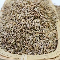 Cumin entier en vrac, graines séchées, prix du cumin pour les fournisseurs chinois, épices, graines de cumin noir