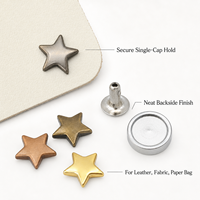 Clous décoratifs en métal Deepeel XP406 Star Rivet avec outils pour sacs en cuir, vêtements, chaussures, ceintures, accessoires de bricolage