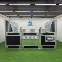 Box de stockage pré-assemblées Weisien pour écuries de chevaux, conception modulaire, préfabriquées, galvanisées à chaud, abri extérieur en bambou, pour manège et ferme