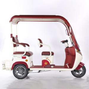 Vente chaude Adultes Utilitaire Motos Utv Véhicule Triciclo Eléctrico avec Vélo De Toit Ouvert Ebike Electrica Triciclo Eléctrico - Product Image 5