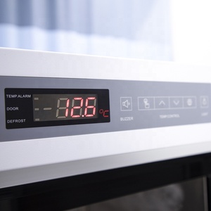 Congélateur vertical médical BIOBASE BDF-25V270 270L -25 degrés <span class=keywords><strong>avec</strong></span> alarmes pour stockage biologique en laboratoire - Product Image 5