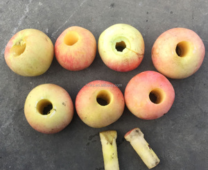 Điện Apple <span class=keywords><strong>Core</strong></span> Loại bỏ máy/Apple Ring Cutter máy/Apple coring Máy cắt - Product Image 6