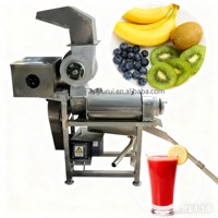 Multifunctionele Handmatige Sapmaker Mangosap Extractiemachine Machine Om Vruchtensap Vruchtenpulp Maken Machine