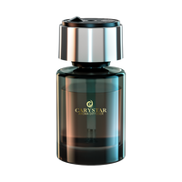 Diffuseur d'aromathérapie portable de haute qualité 160 ml, rechargeable par USB, en alliage d'aluminium et verre, design élégant, pour parfum de voiture
