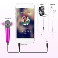 Microphone Bluetooth portable mini pour chant, instruments de musique, karaoké, compatible avec téléphone portable, ordinateur portable, avec chargement USB