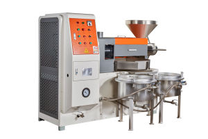 Línea de Producción de Refinación de Aceite Automática de 30 TPD, Llave en Mano, para Aceites de Palma, Girasol y Nuez, con Larga Vida Útil - Marca Dingsheng - Product Image 6