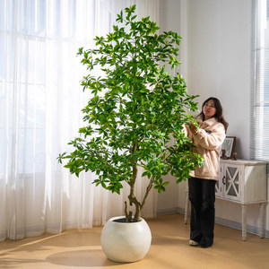 Árbol Artificial de Pieris Japonica de Estilo Natural para Espacios Interiores Modernos, Planta Artificial Decorativa para el Hogar y la Oficina - Product Image 6