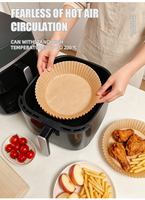 Papier de cuisson multifonctionnel en silicone double couche, jetable, antiadhésif, résistant aux hautes températures pour friteuse à air et four domestique
