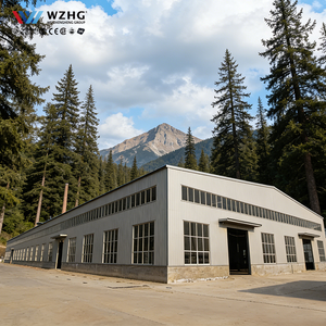 Bâtiment industriel préfabriqué en acier de grande envergure, structure industrielle, stockage de machines lourdes, livraison rapide, garantie 50 ans - Product Image 1
